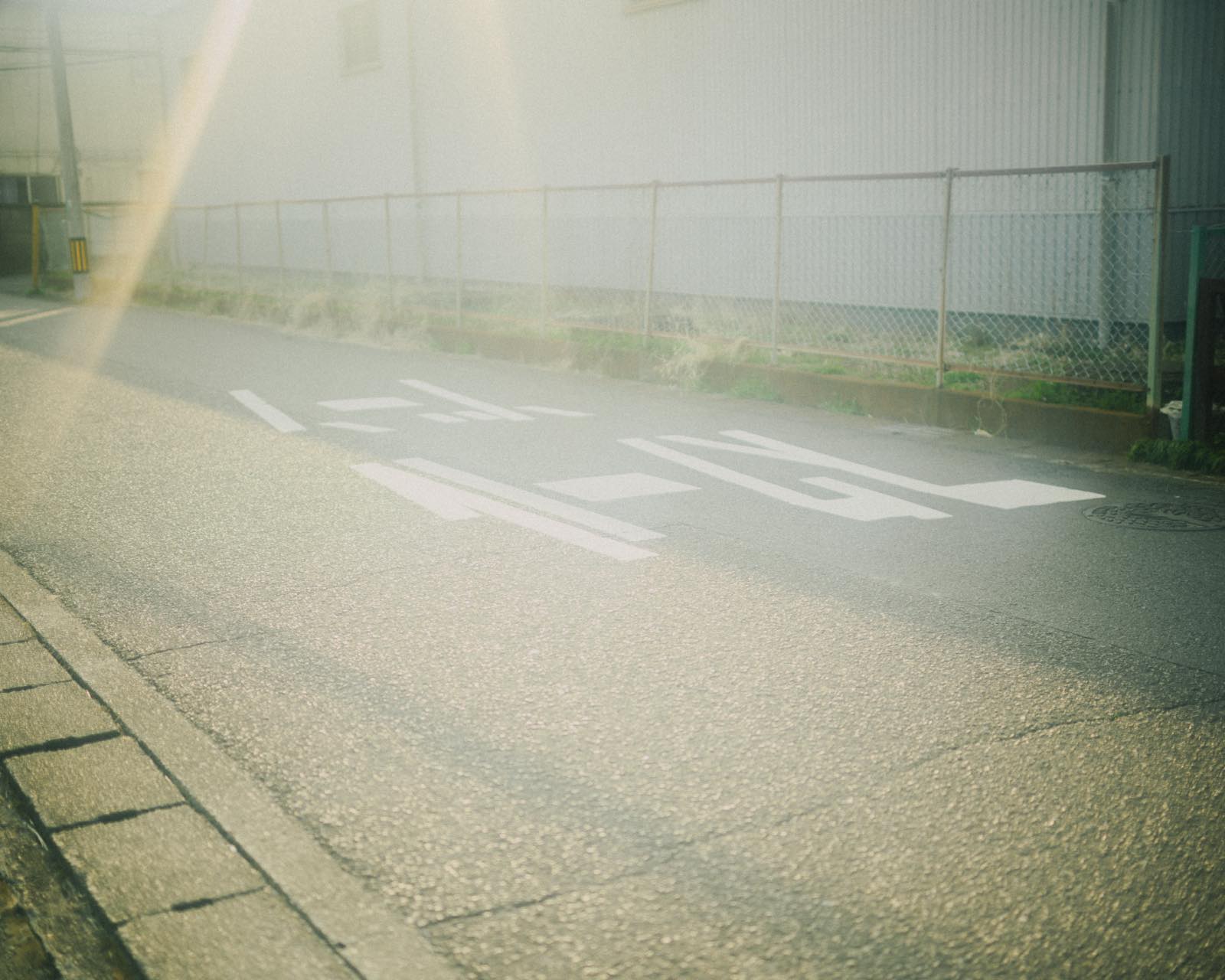 ある日の写真散歩